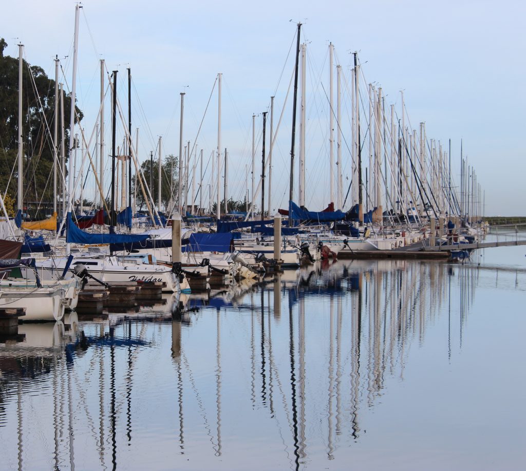 boats in the harbor